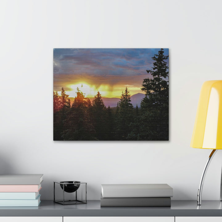 Rainy Sunset Through the Trees - Canvas