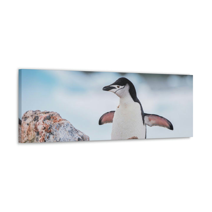 Stretched Penguin - Canvas