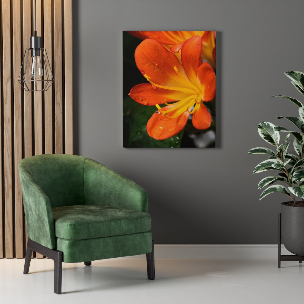 Bright Bush Lily - Canvas