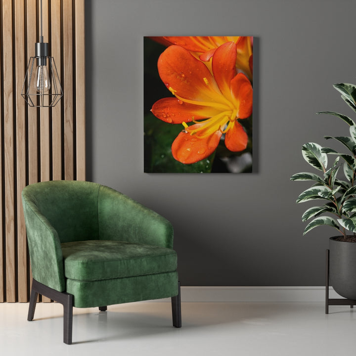 Bright Bush Lily - Canvas