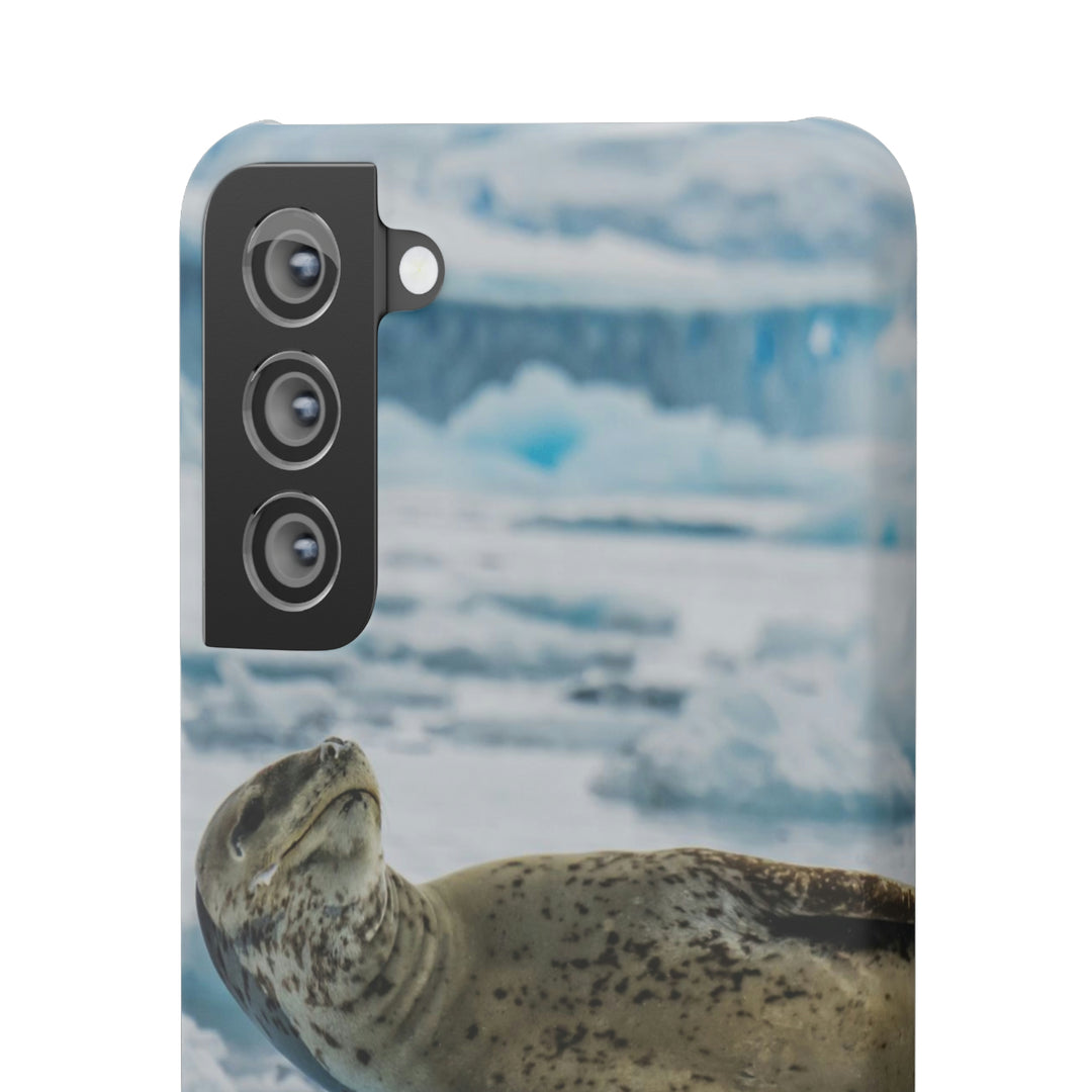 Leopard Seal Relaxing - Phone Case