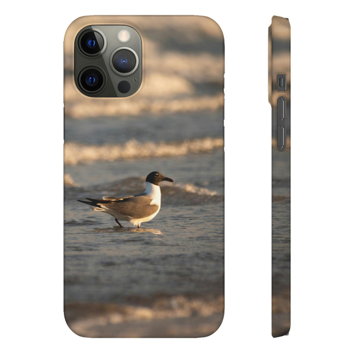 Laughing Gull in the Surf - Phone Case