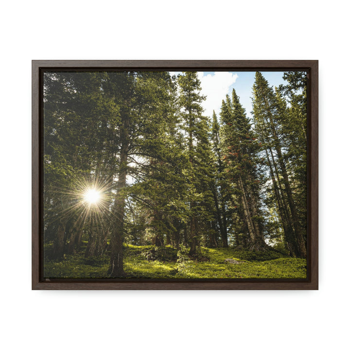 Forest Light - Canvas with Frame