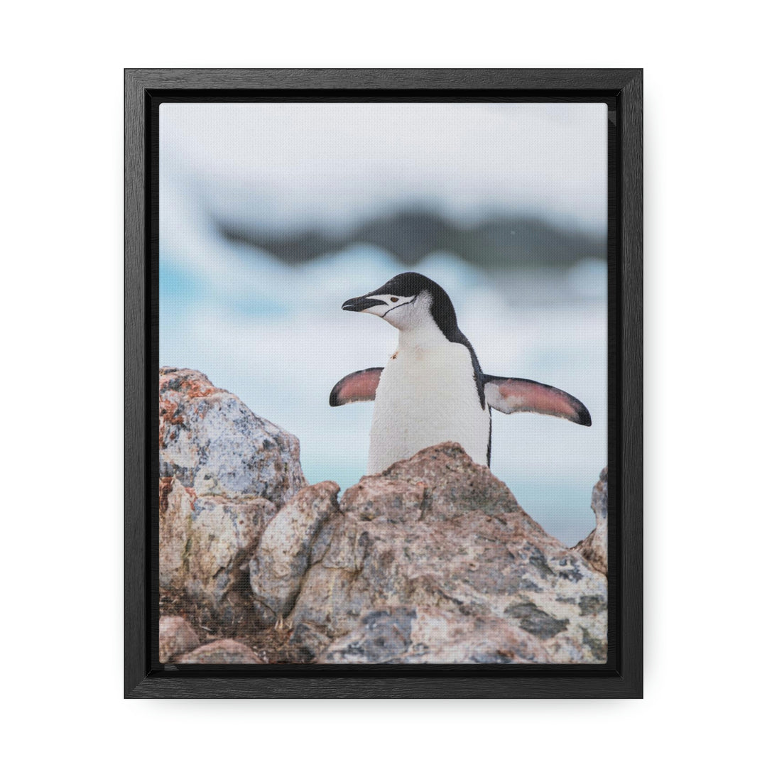 Stretched Penguin - Canvas with Frame