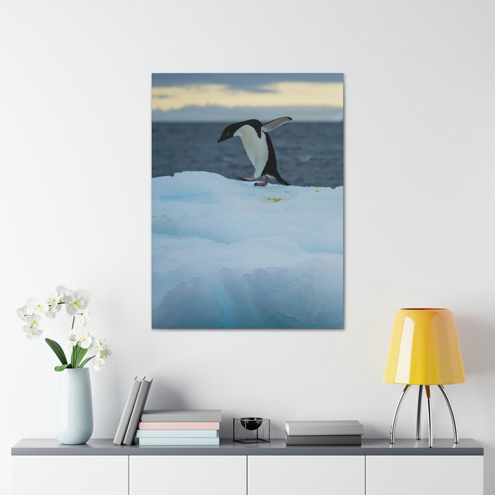 Penguin Dance - Canvas