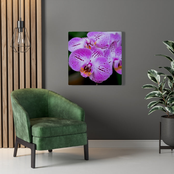 Orchid in Pink - Canvas