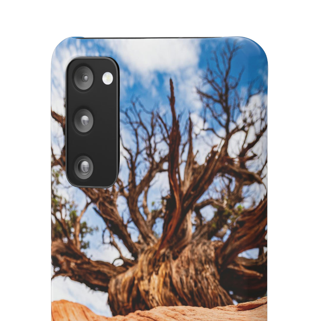 Desert Reach - Phone Case