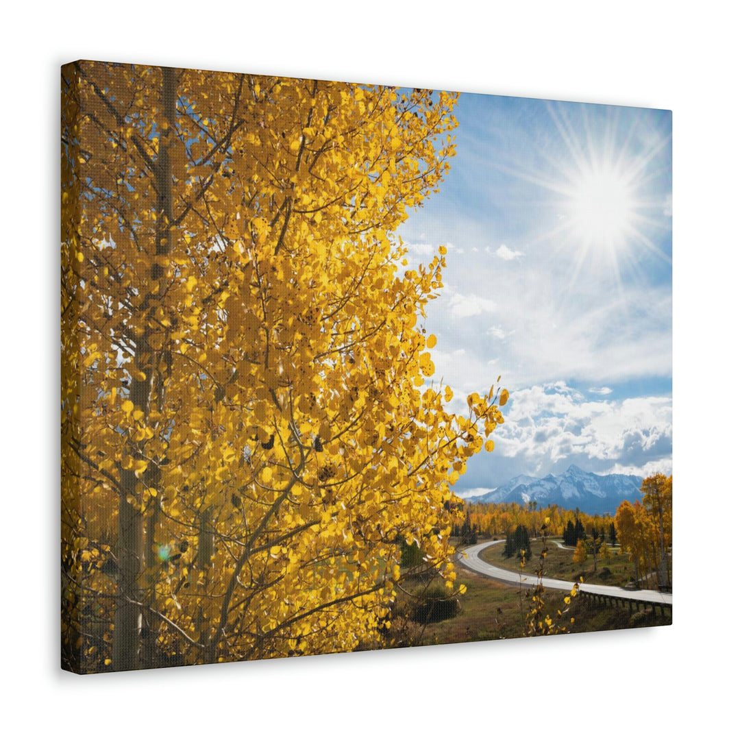 Golden Sunshine - Canvas