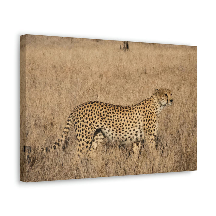 Regal Camouflage - Canvas