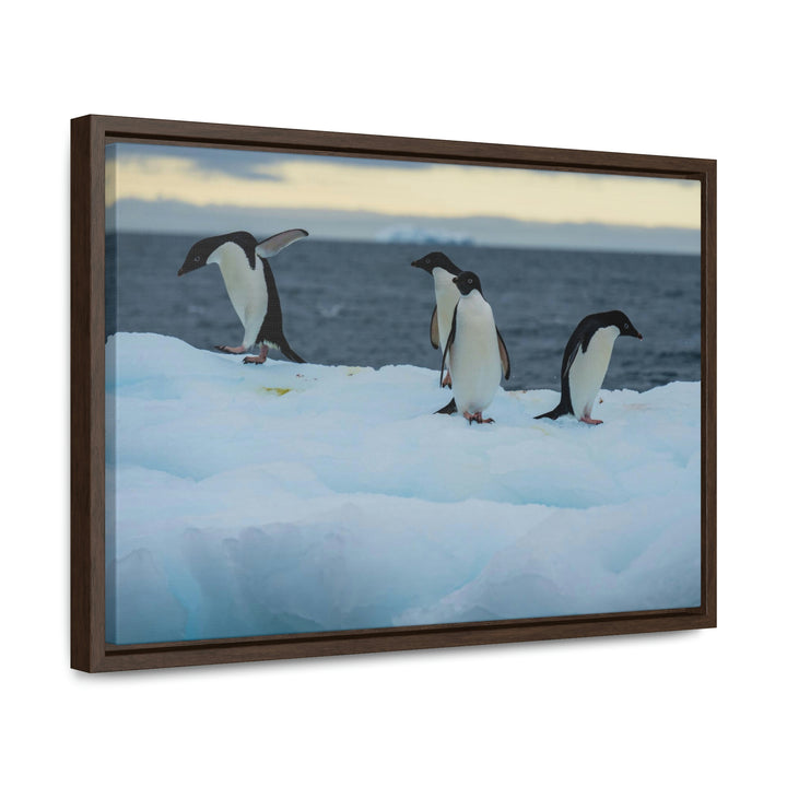 Penguin Dance - Canvas with Frame