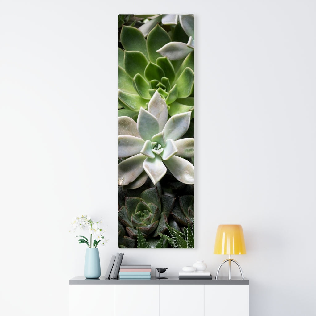 Succulent - Array - Canvas