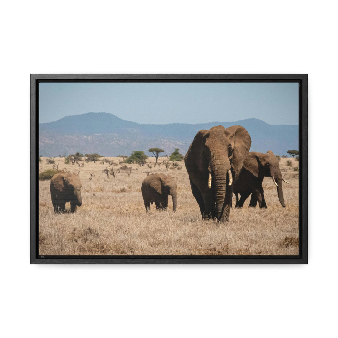 Family March - Canvas With Frame