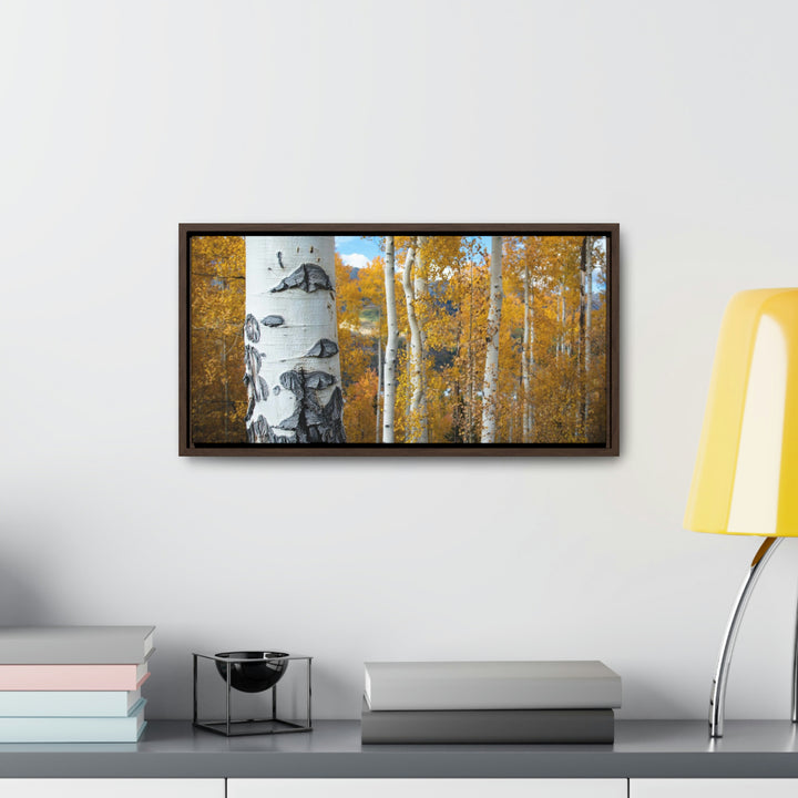 Aspens Changing - Canvas with Frame