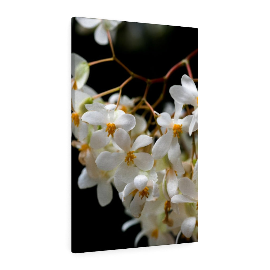 Floral Network - Canvas