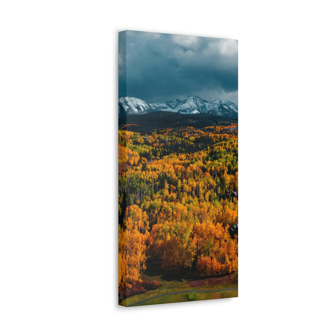 Golds of Autumn - Canvas