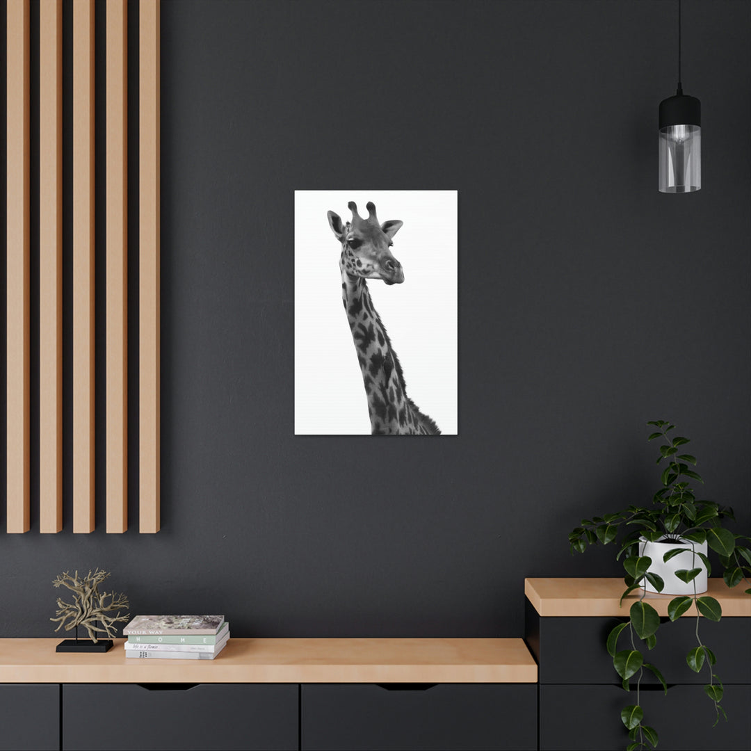 Giraffe Portrait in Black and White  - Canvas