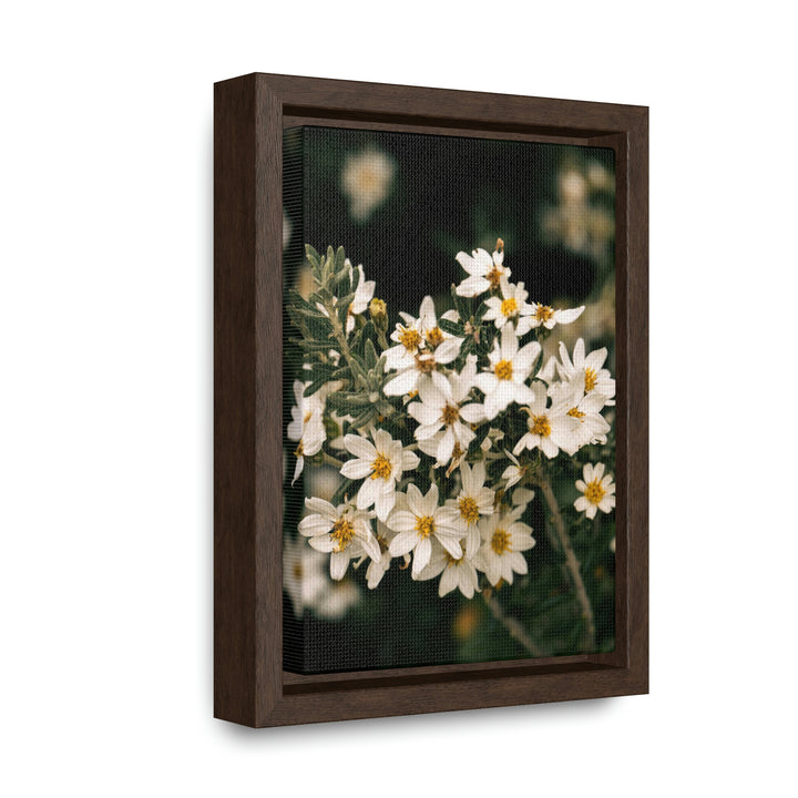 A Touch of White - Canvas with Frame