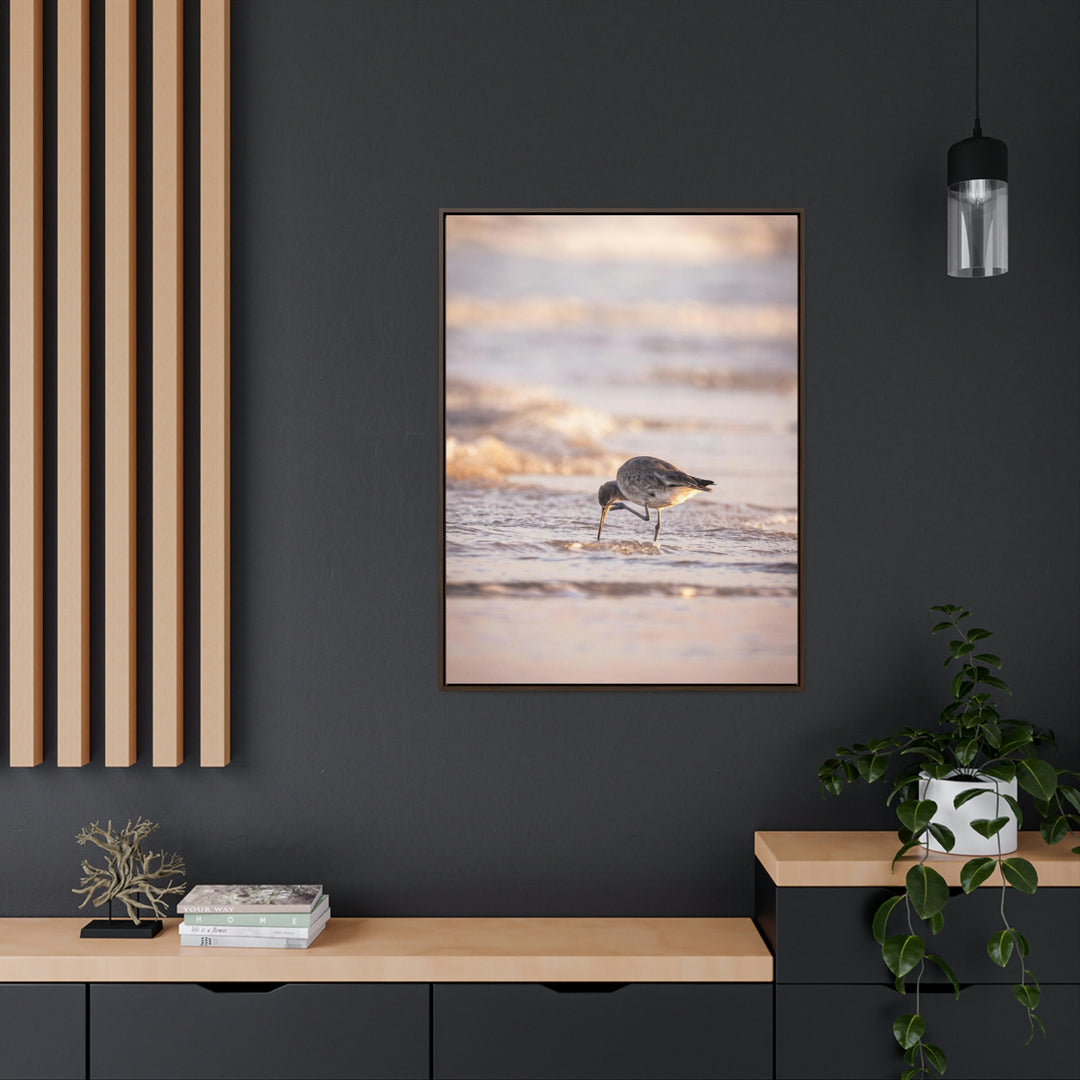 Willet Itch - Canvas with Frame