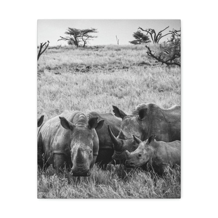 Rhino Family in Black and White - Canvas