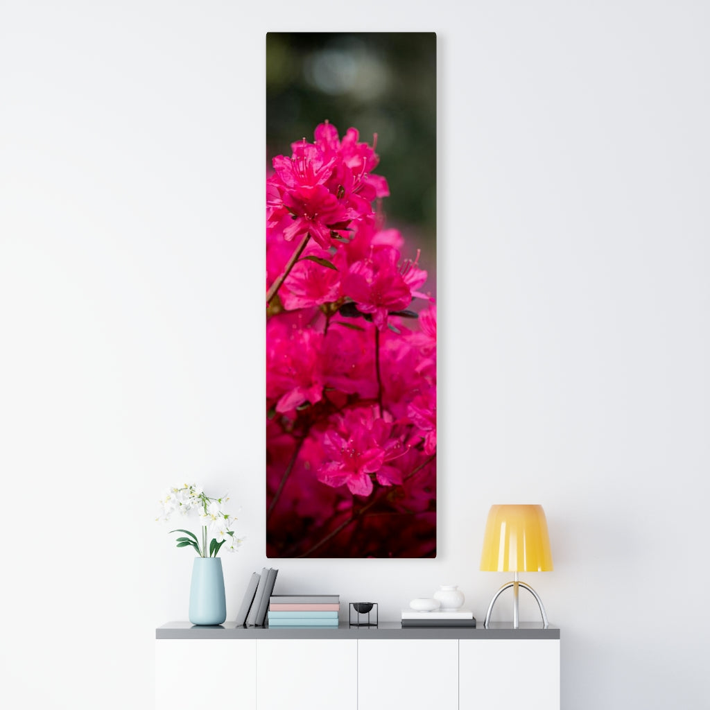 Full Bloom - Canvas