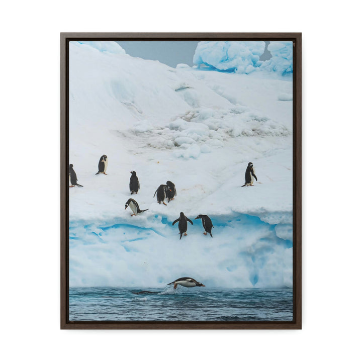 Porpoising Penguin - Canvas with Frame