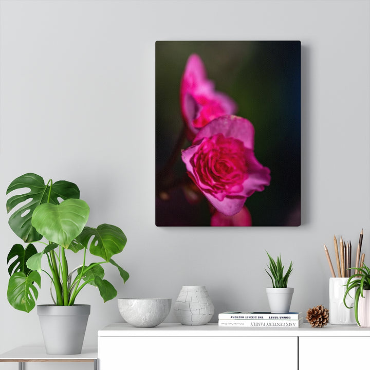 Hybrid Tea Lily - Canvas