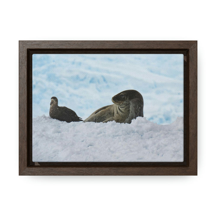 A Resting Pair - Canvas with Frame