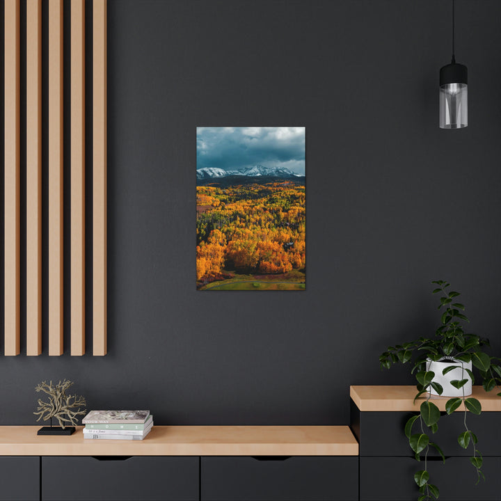 Golds of Autumn - Canvas