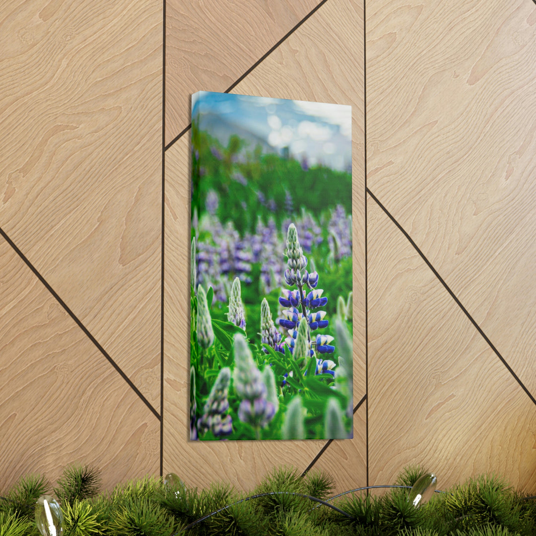 Glowing Lupin with Mountains - Canvas