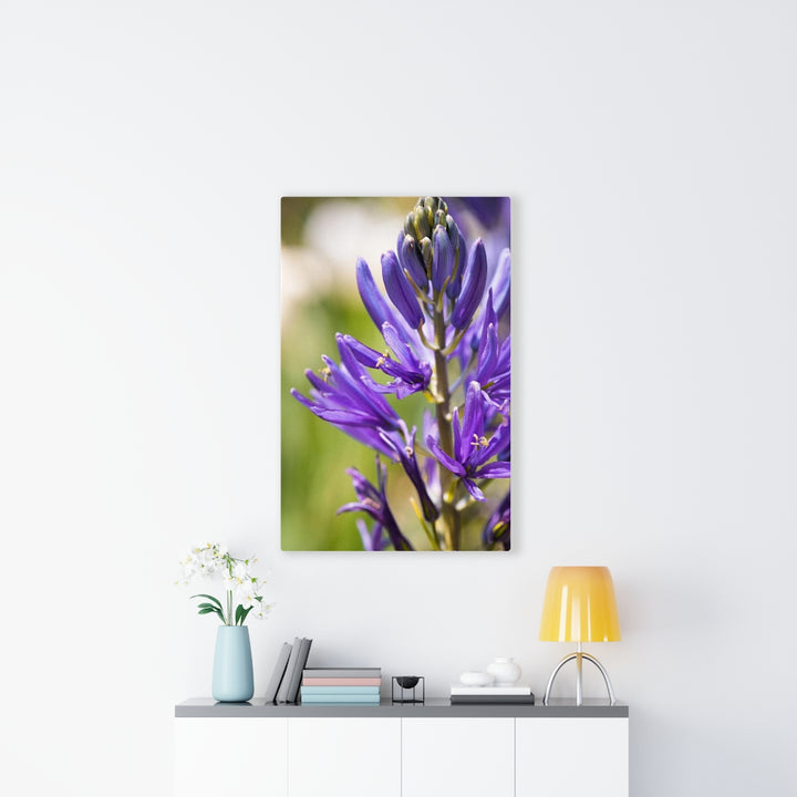 Camas in Bloom - Canvas