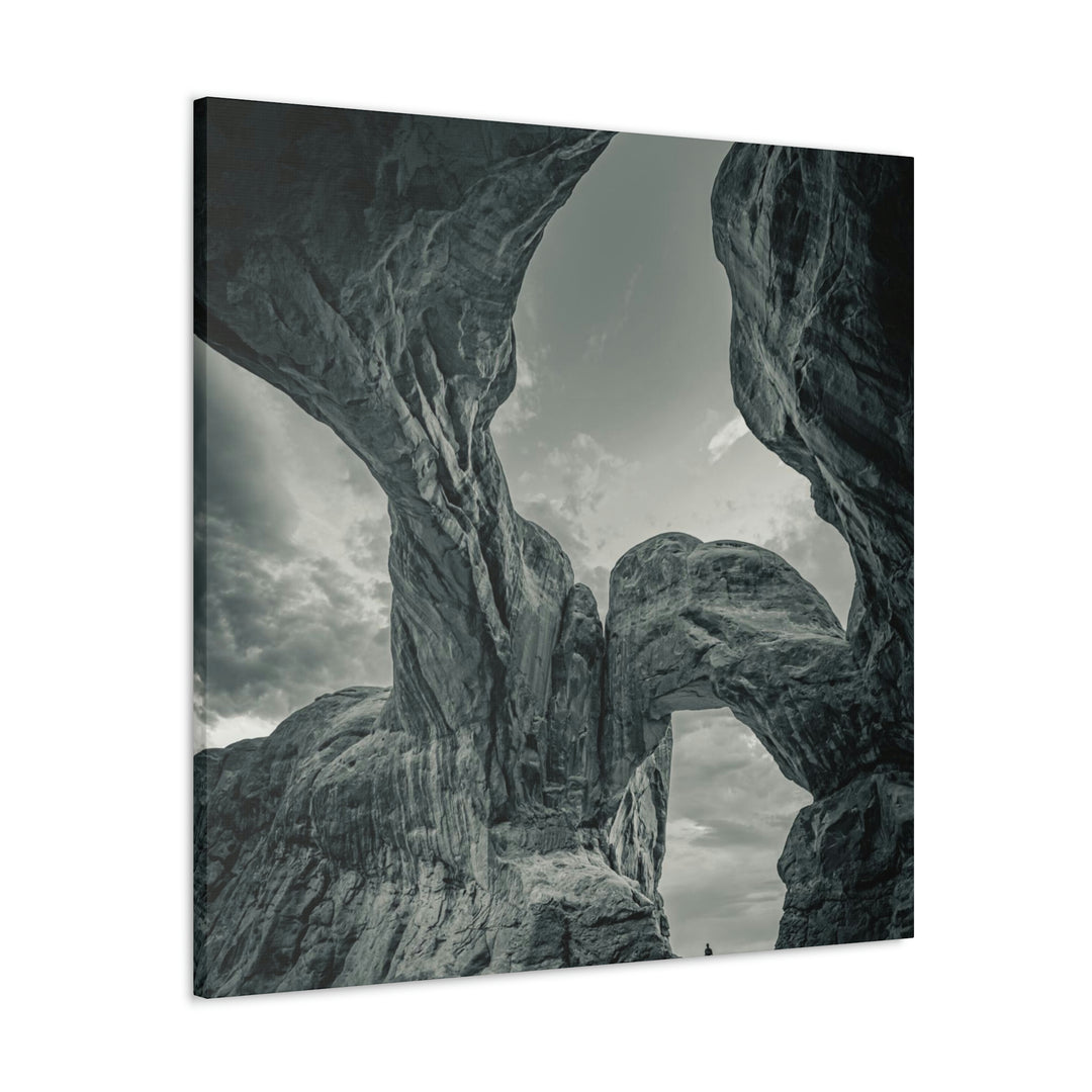 Natural Frames Part 1 in Black and White - Canvas