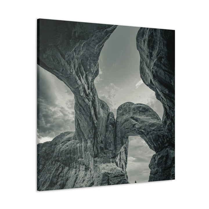 Natural Frames Part 1 in Black and White - Canvas