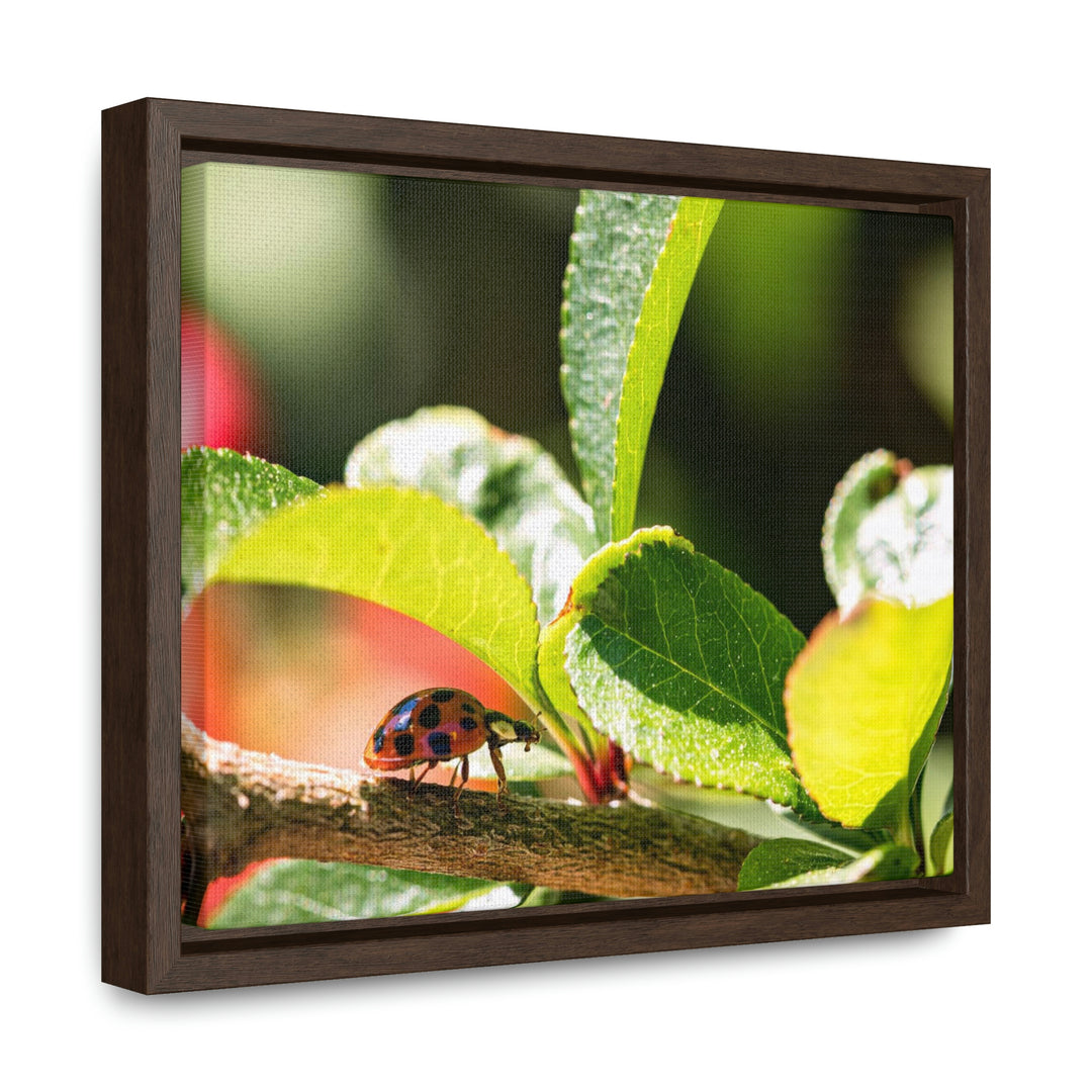 Spotted Investigation - Canvas with Frame