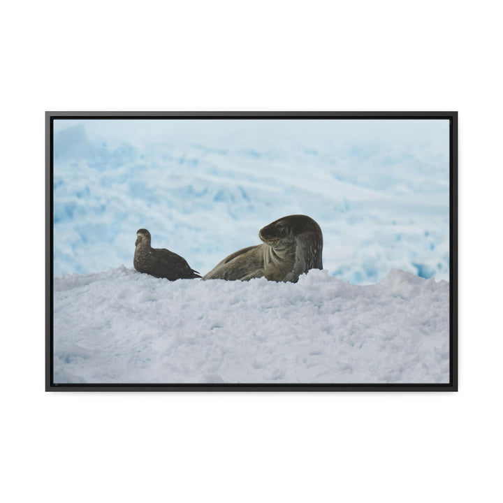 A Resting Pair - Canvas with Frame