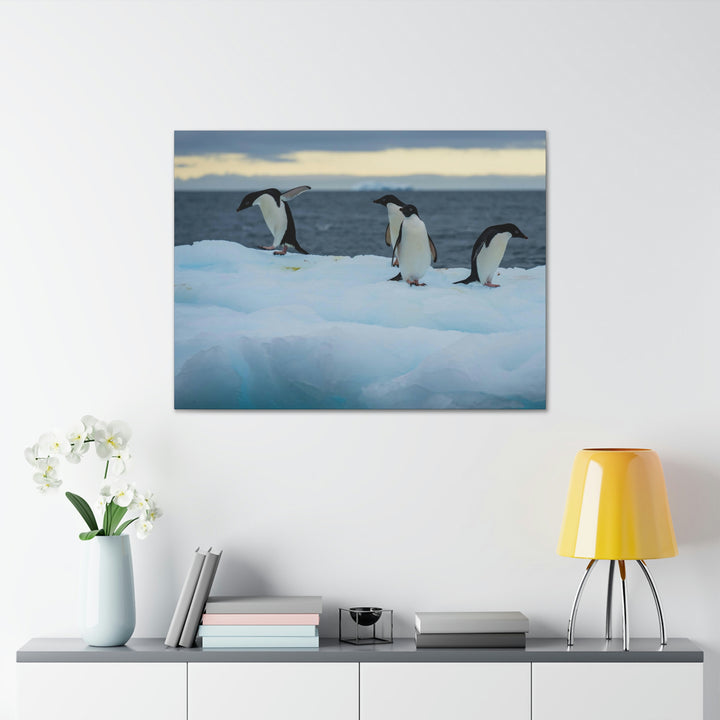 Penguin Dance - Canvas