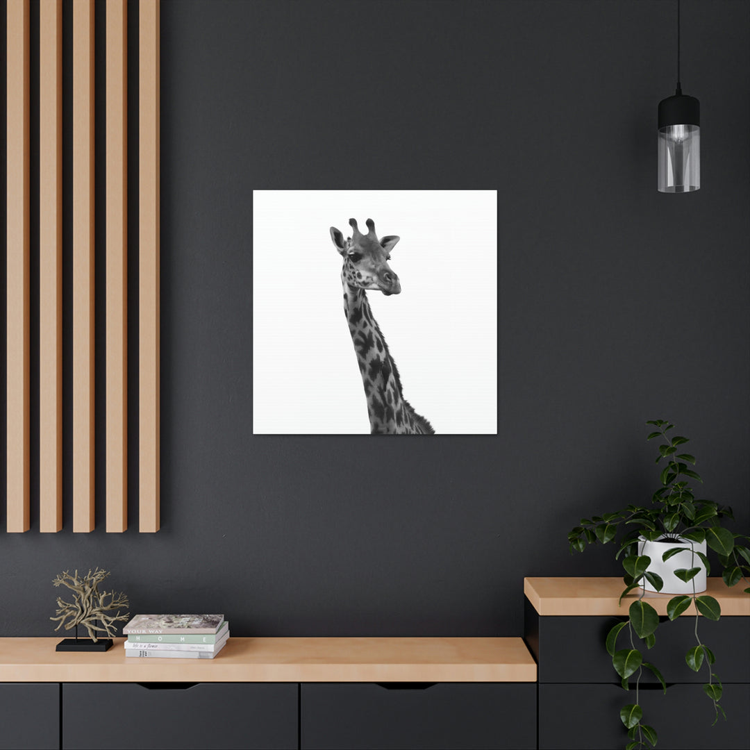 Giraffe Portrait in Black and White  - Canvas