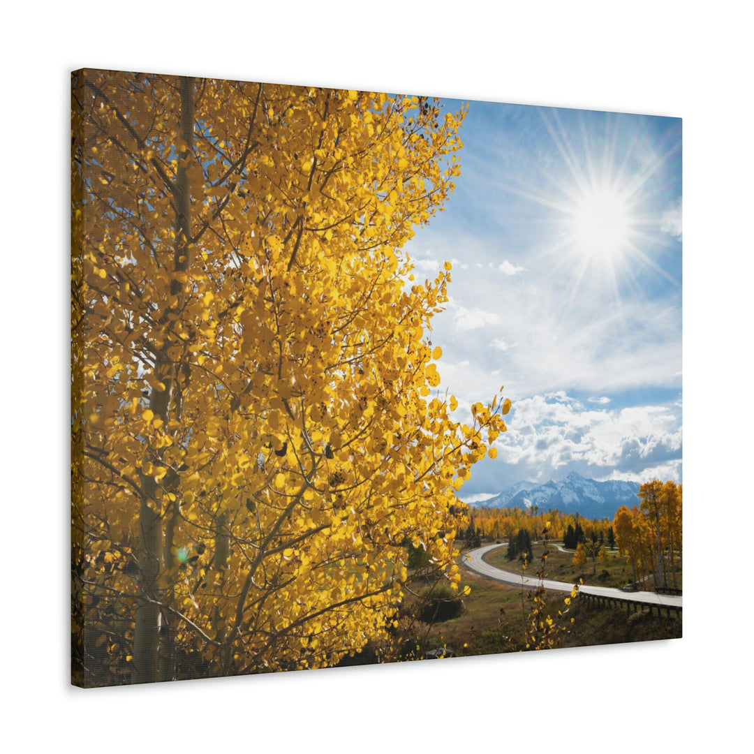 Golden Sunshine - Canvas