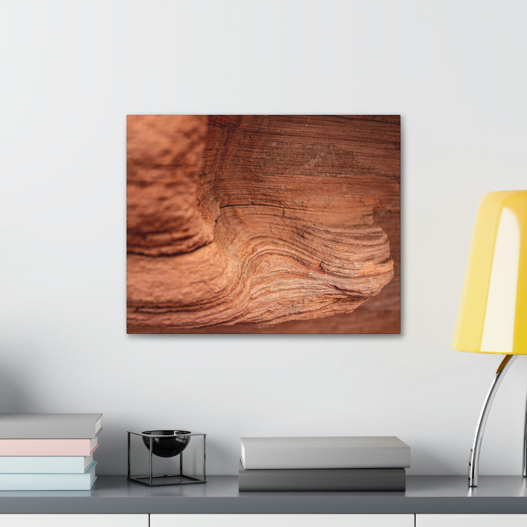 Sedimentary Rock Curves - Canvas