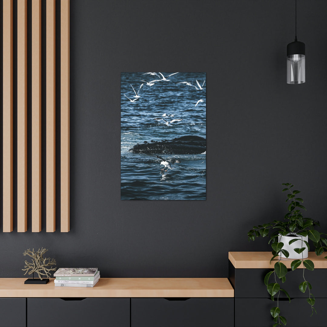 Humpback Hello - Canvas