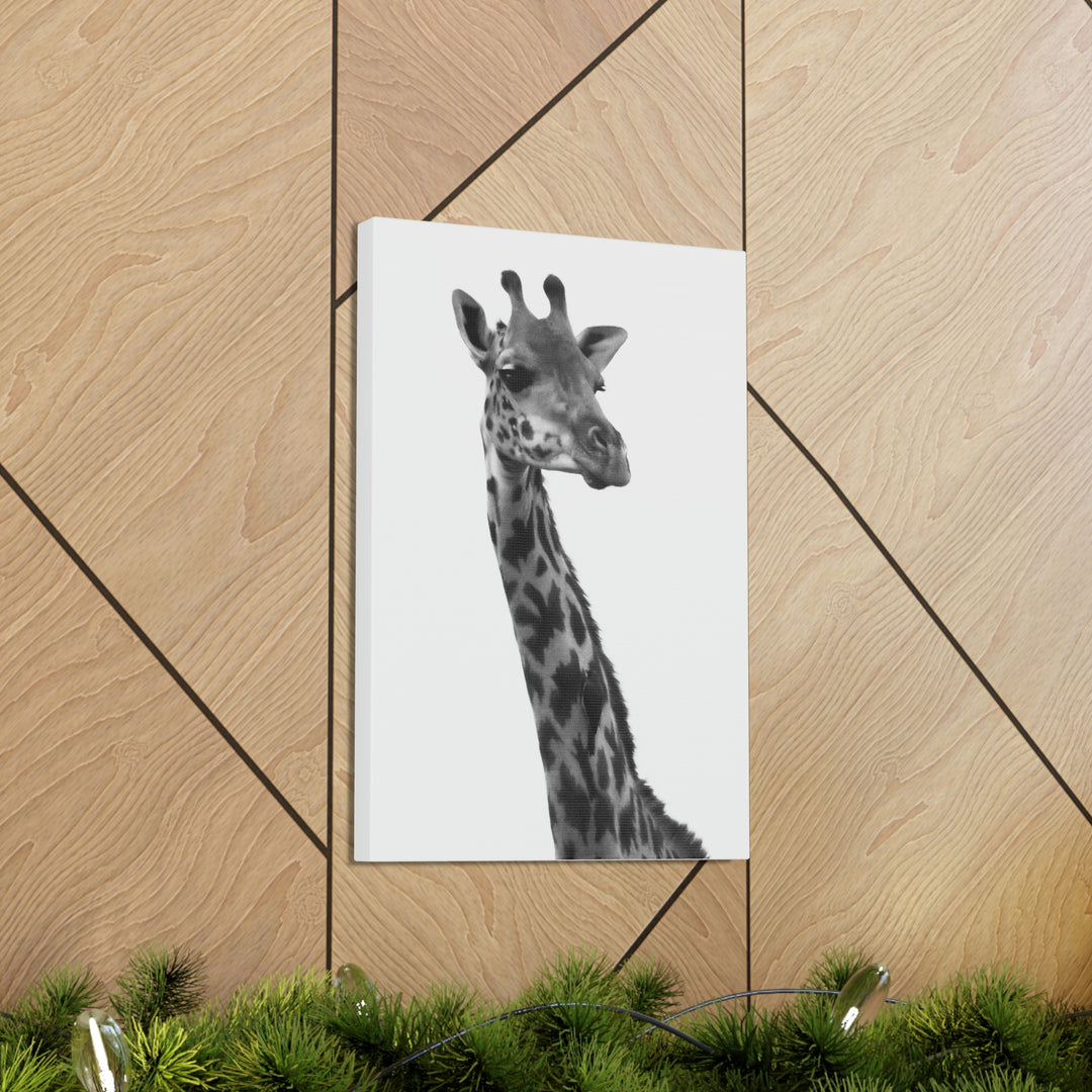 Giraffe Portrait in Black and White  - Canvas