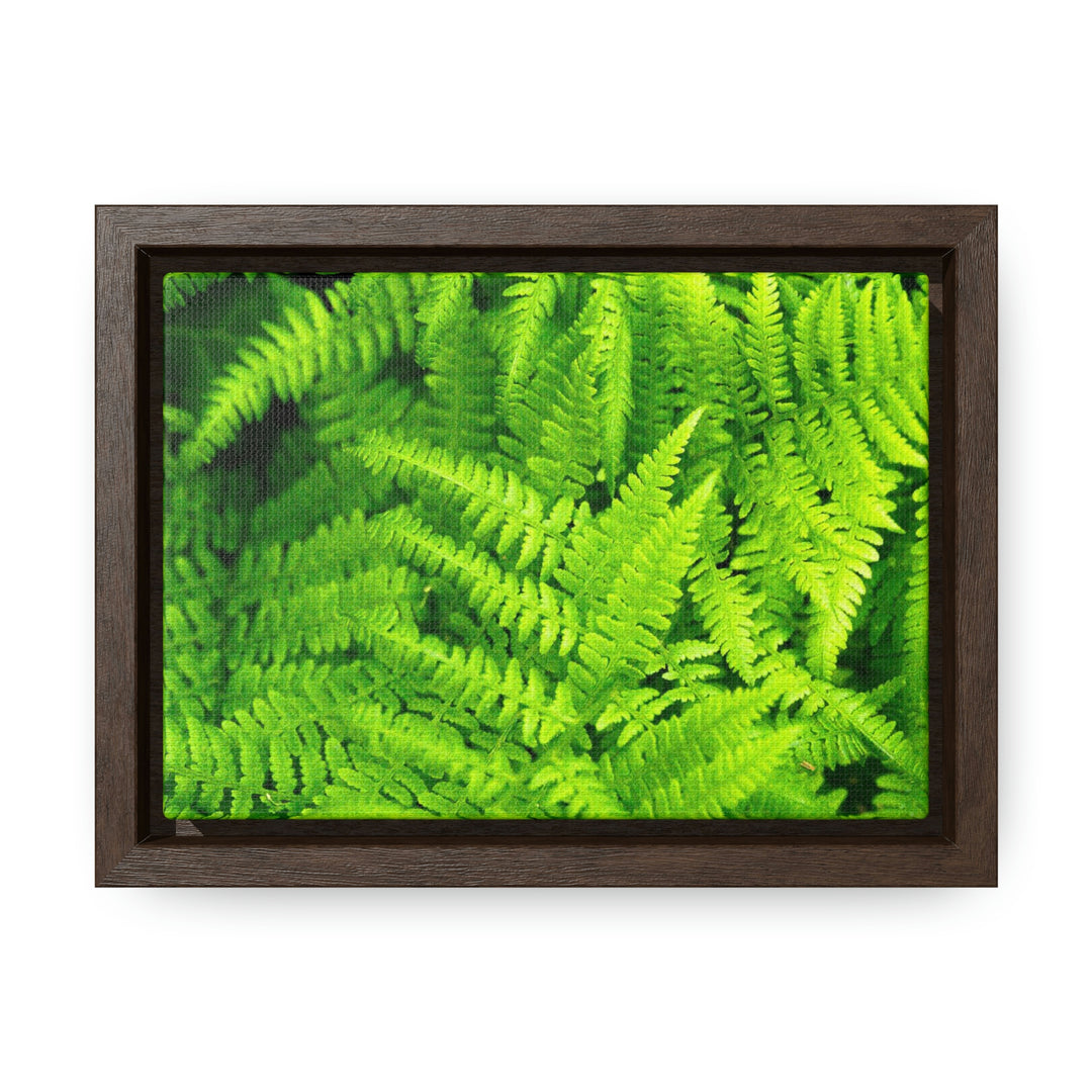 Ferns, Ferns, Ferns - Canvas with Frame