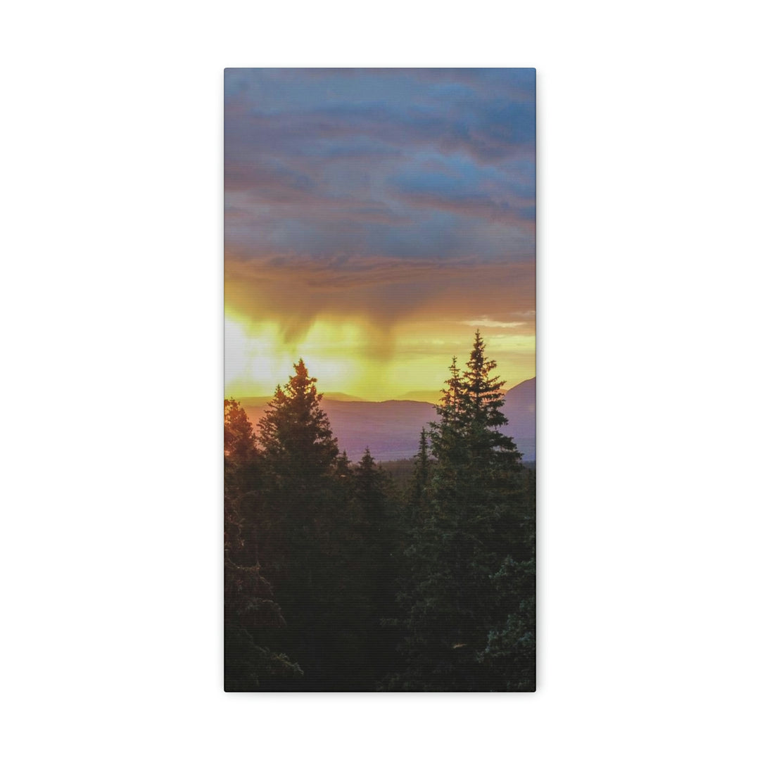 Rainy Sunset Through the Trees - Canvas