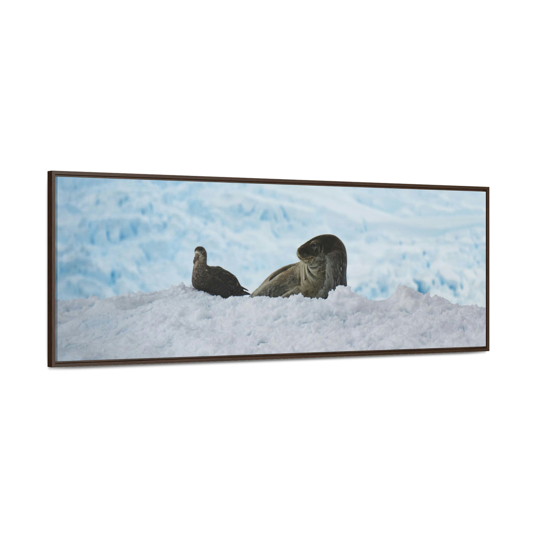 A Resting Pair - Canvas with Frame