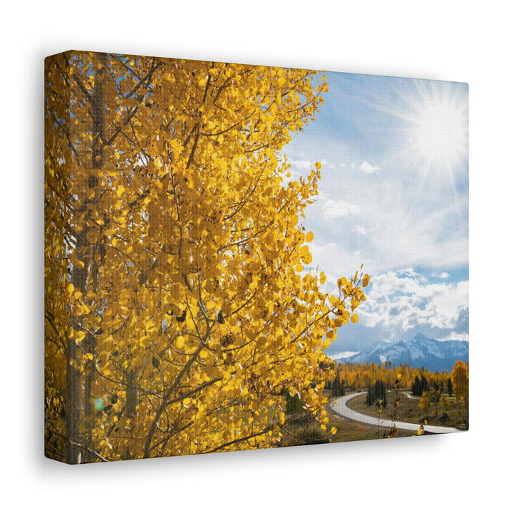 Golden Sunshine - Canvas