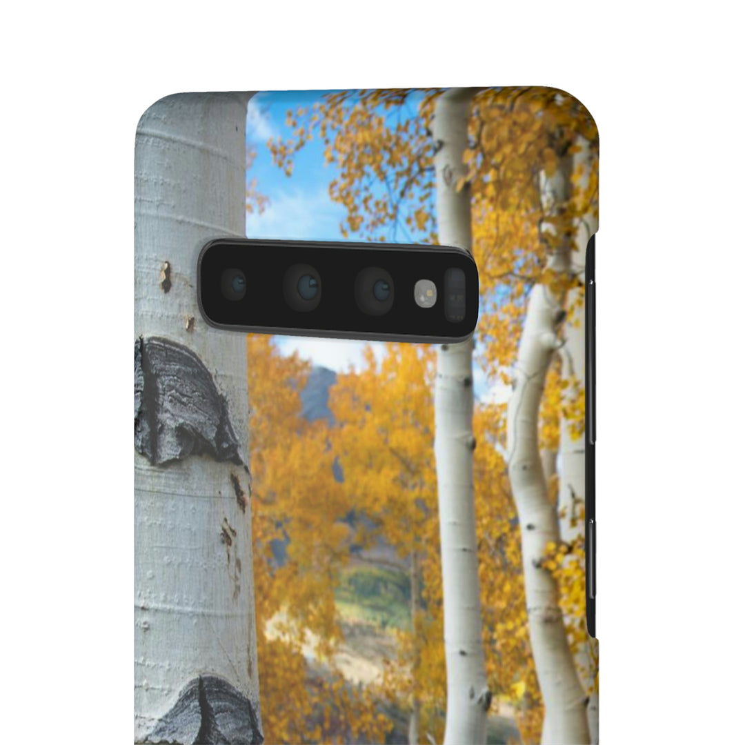 Aspens Changing - Phone Case