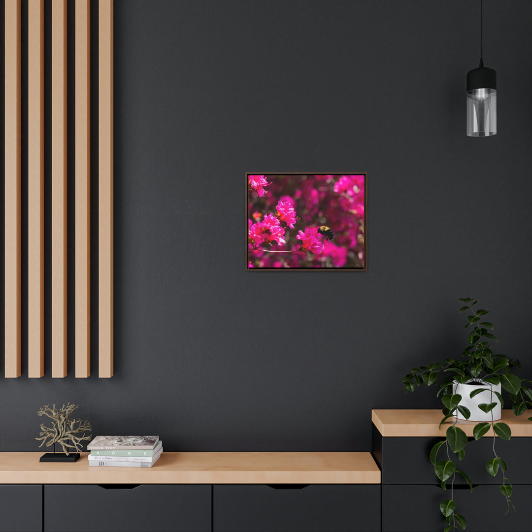 Hovering - Canvas with Frame