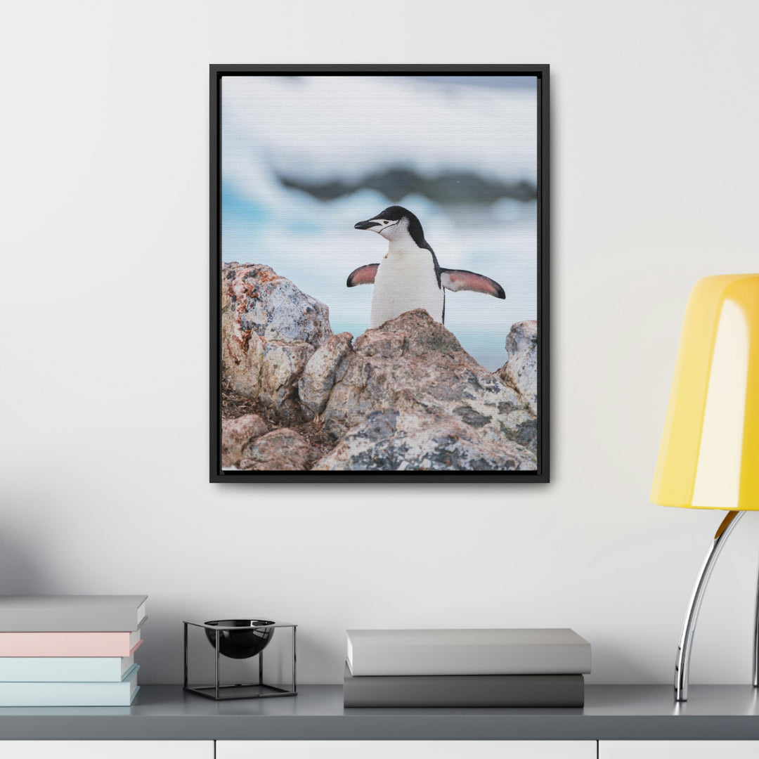 Stretched Penguin - Canvas with Frame