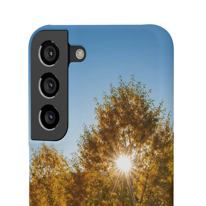 Sun Through the Aspens - Phone Case