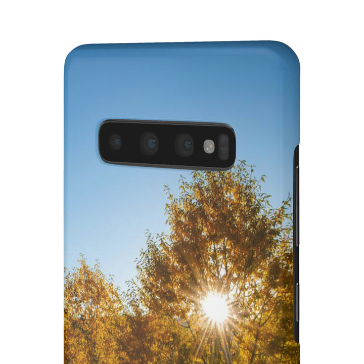 Sun Through the Aspens - Phone Case