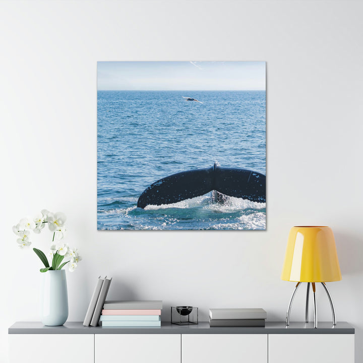 A Whale and A Mountain - Canvas